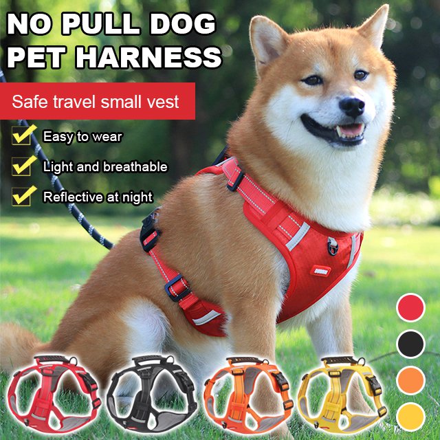 Non-pull, pet leash & adjustable chest harness
