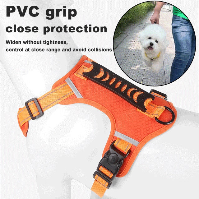 Non-pull, pet leash & adjustable chest harness