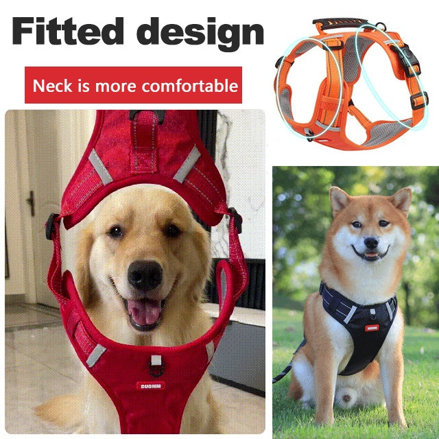 Non-pull, pet leash & adjustable chest harness
