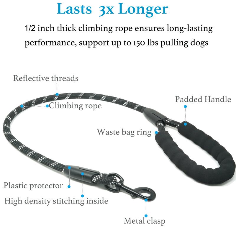 🎁Double Dog Leash, 360 Swivel No Tangle Walking Leash