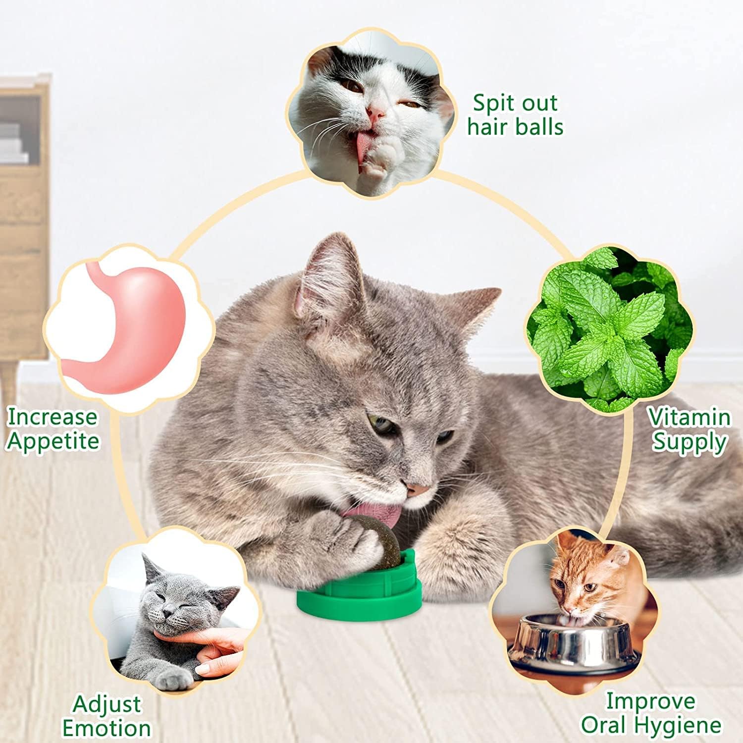 Round Spinning Catnip Treats Ball Toys