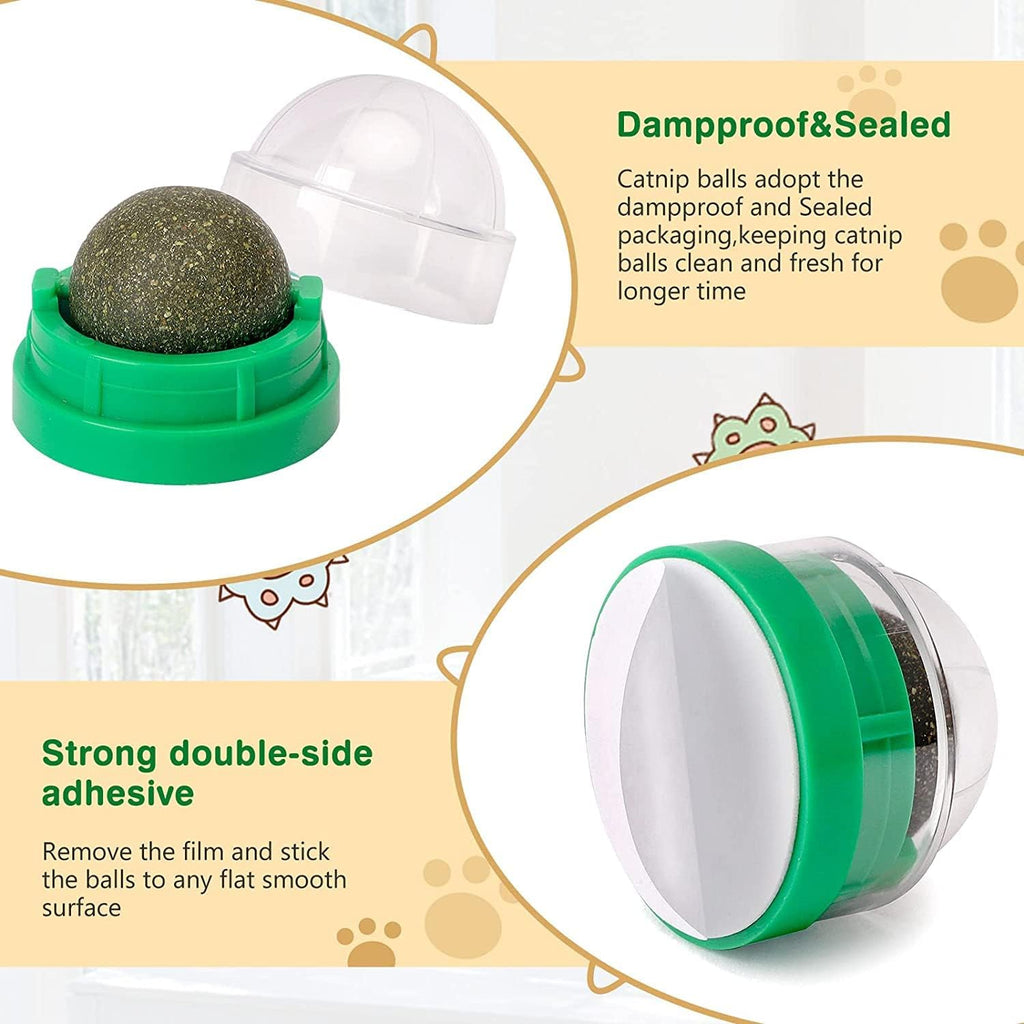 Round Spinning Catnip Treats Ball Toys