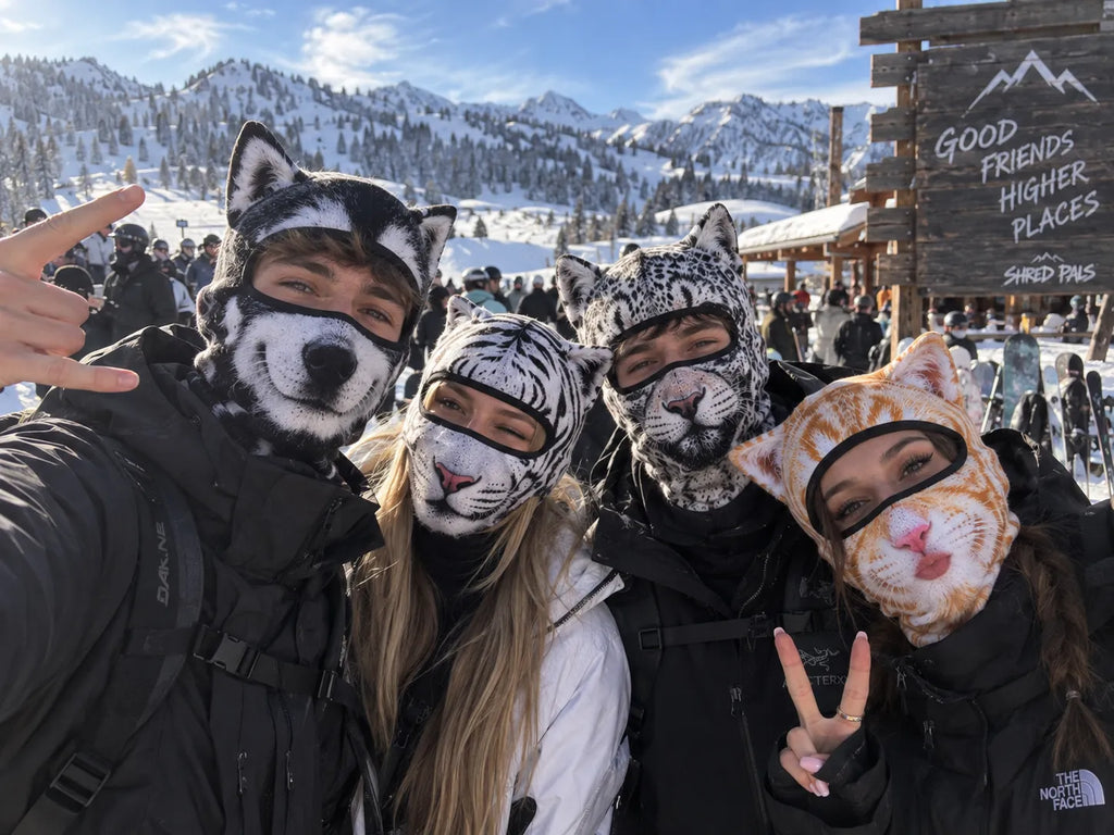 25%OFF| 3D Visual effects Cat Ski Balaclava – Eye-Catching Animal Face Mask for Outdoor Fun!