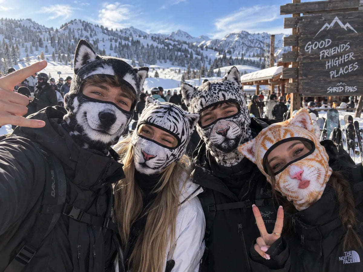 25%OFF| 3D Visual effects Cat Ski Balaclava – Eye-Catching Animal Face Mask for Outdoor Fun!