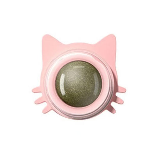 Catnip Ball Toys For Cats Licking